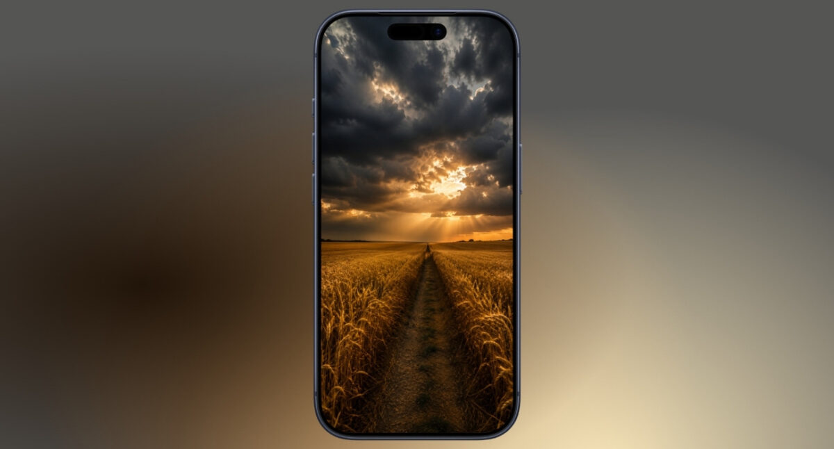 Wheat storm