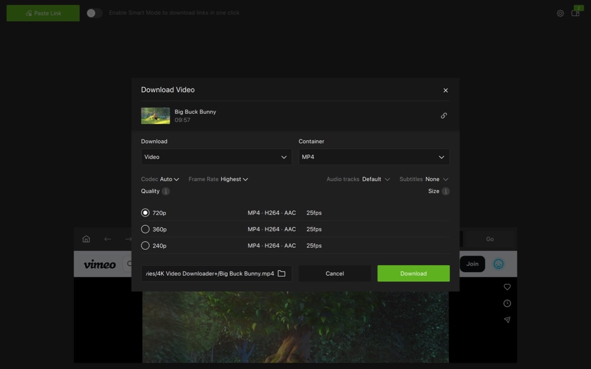Video quality and format options in 4K Video Downloader Plus