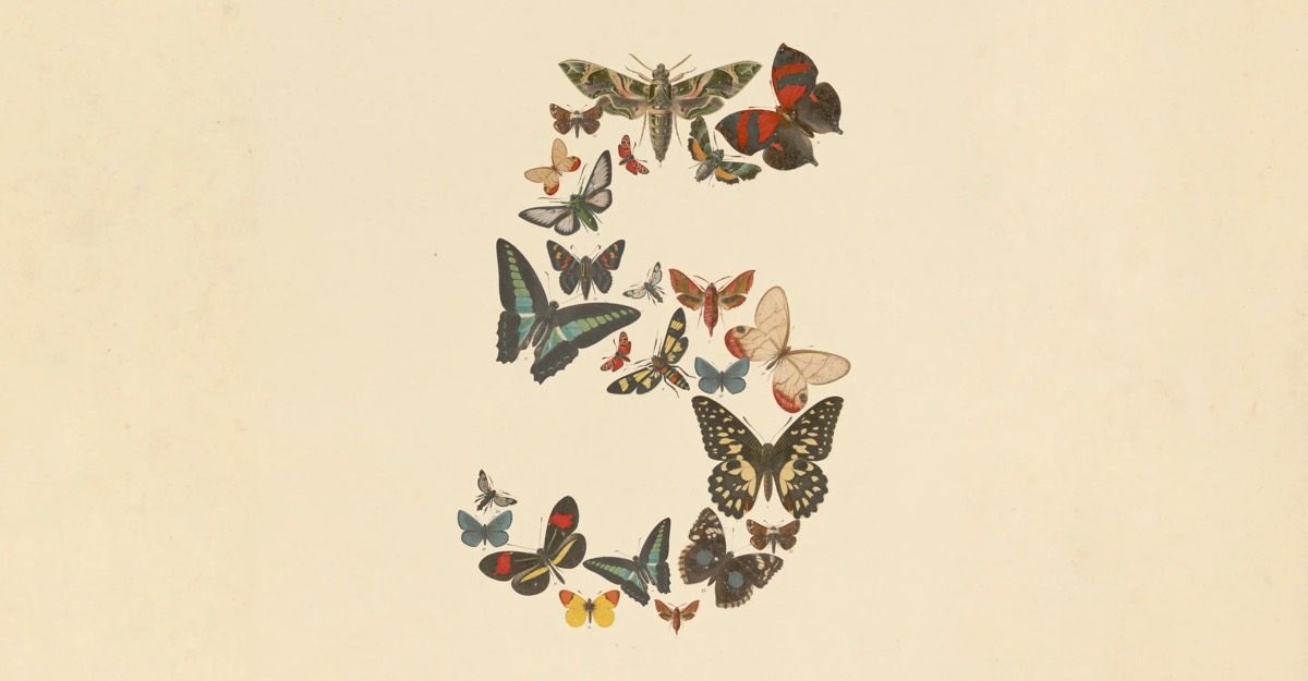 Butterfly illustration forming a question mark on a light background