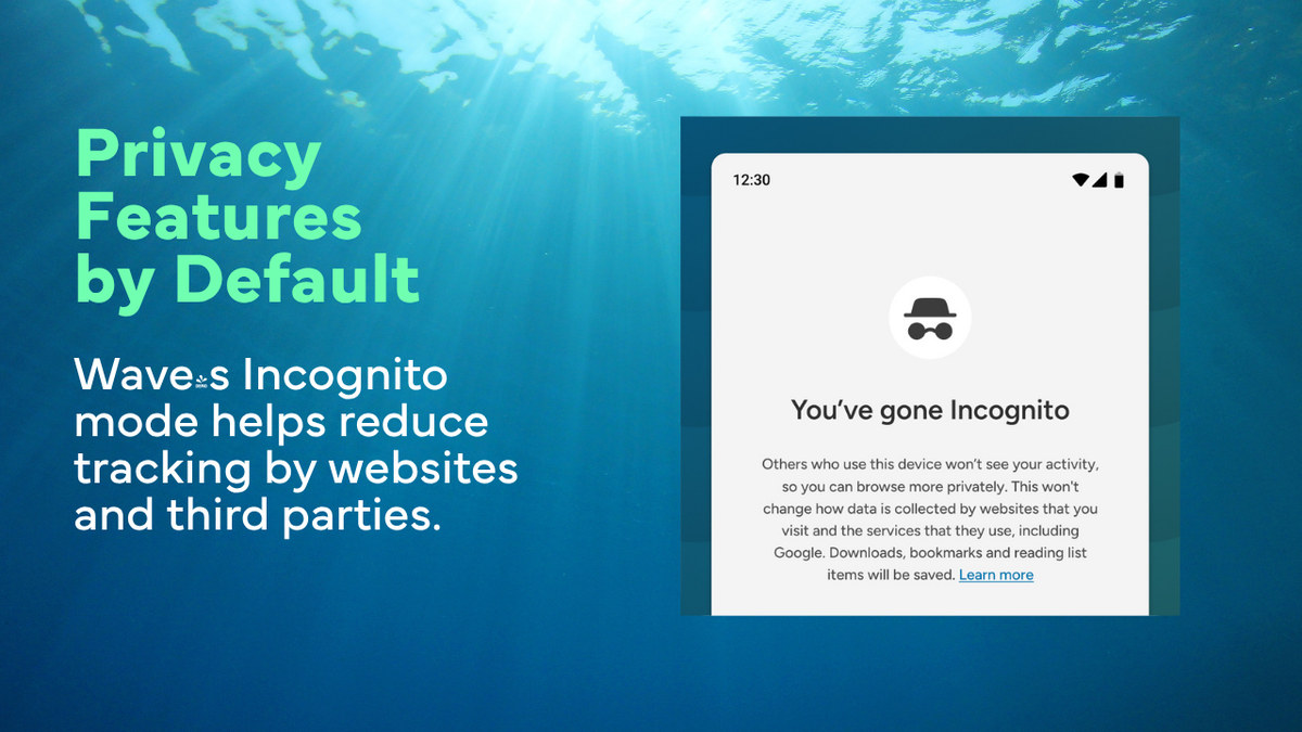 Wave Browser Incognito mode and privacy controls on iPhone