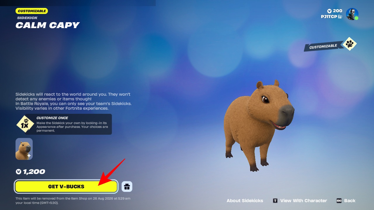 Claim the Calm Capy sidekick in Fortnite