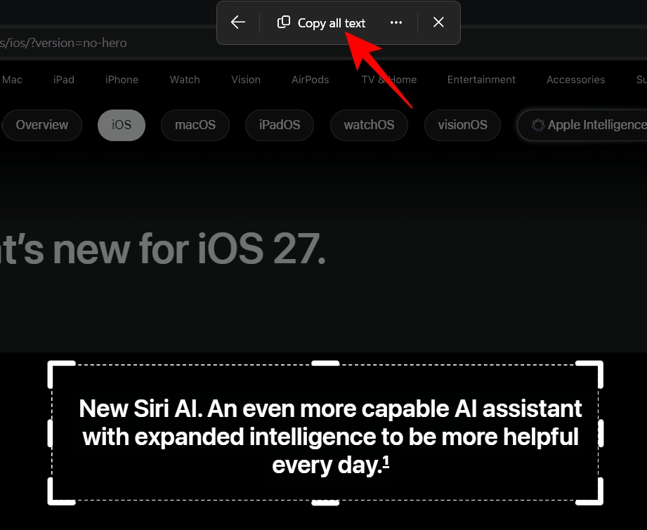 Click Copy all text at the top