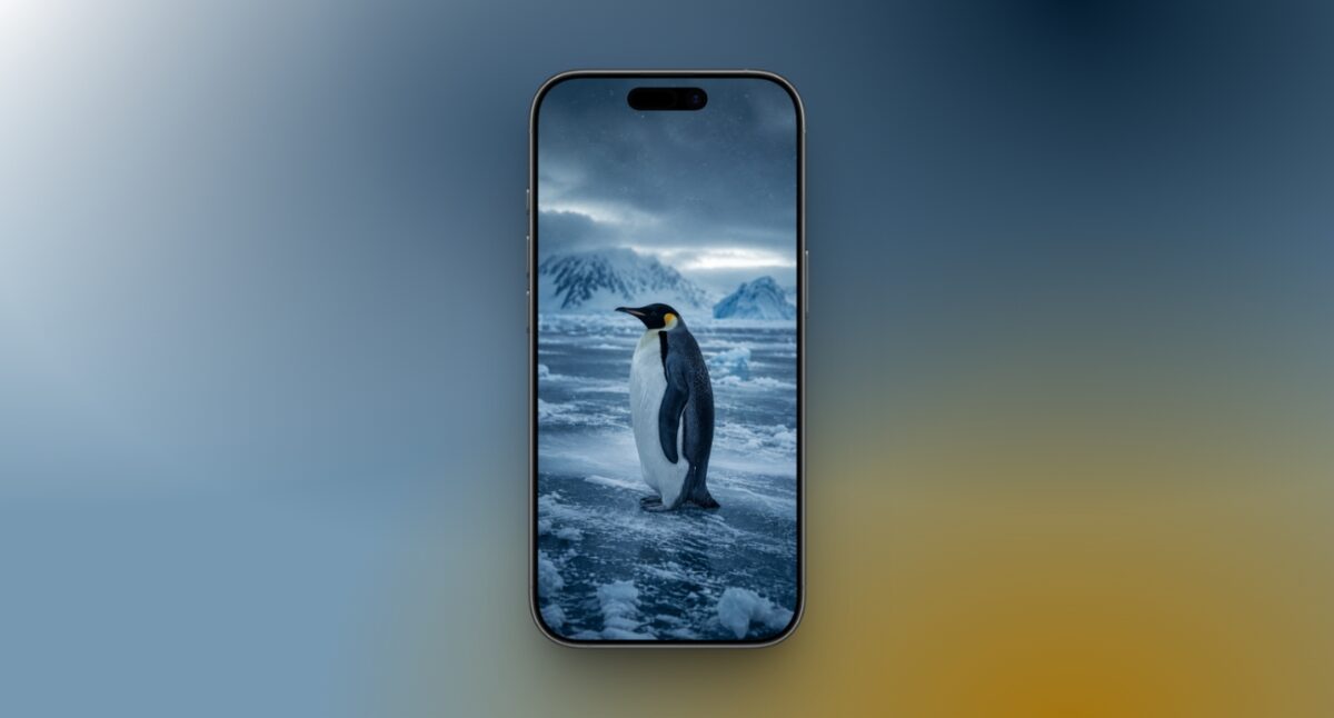 Emperor&nbsp;penguin in the&nbsp;blue&nbsp;hour