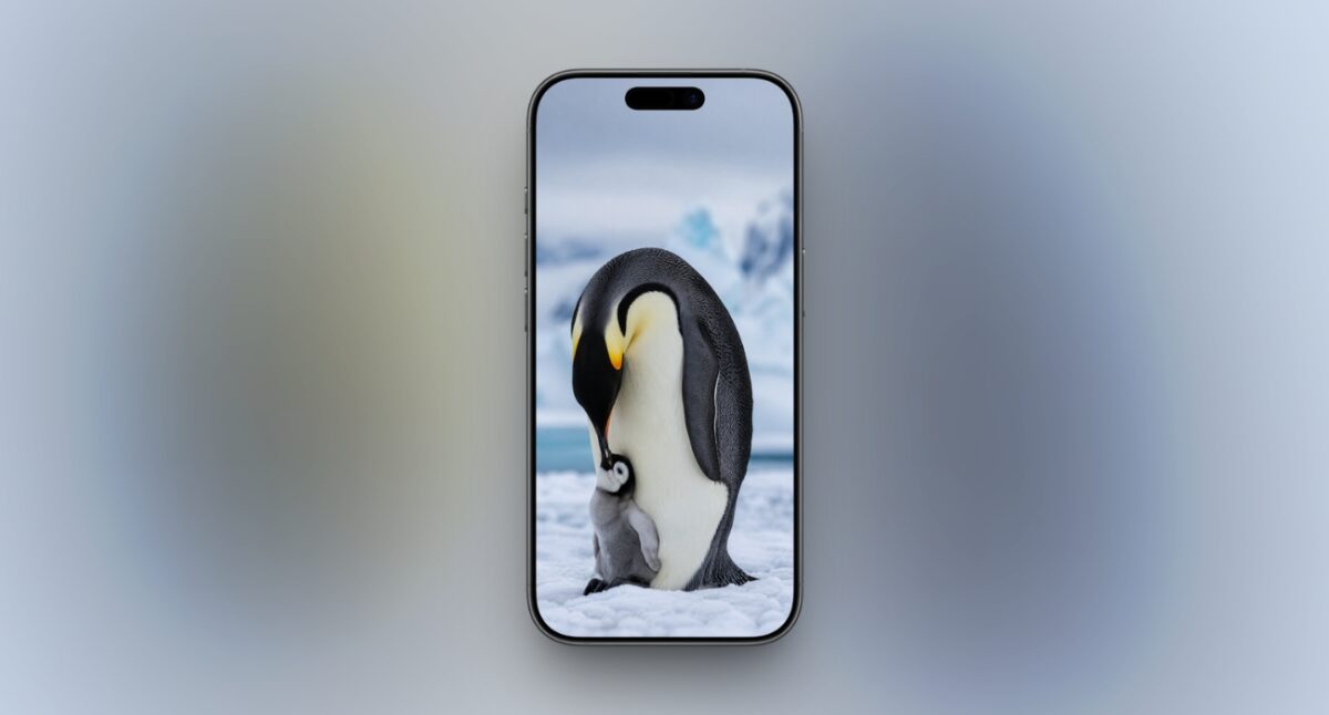Mother penguin and her cute baby