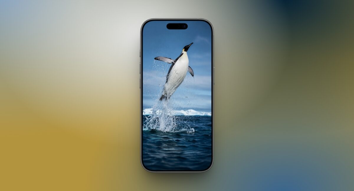 Penguin leaping from the icy ocean