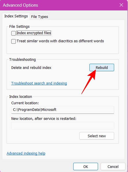 Rebuild the Search Index when the search