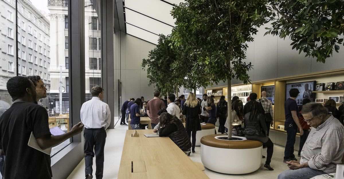 Apple Store interior with wood tables, trees, and accessory displays