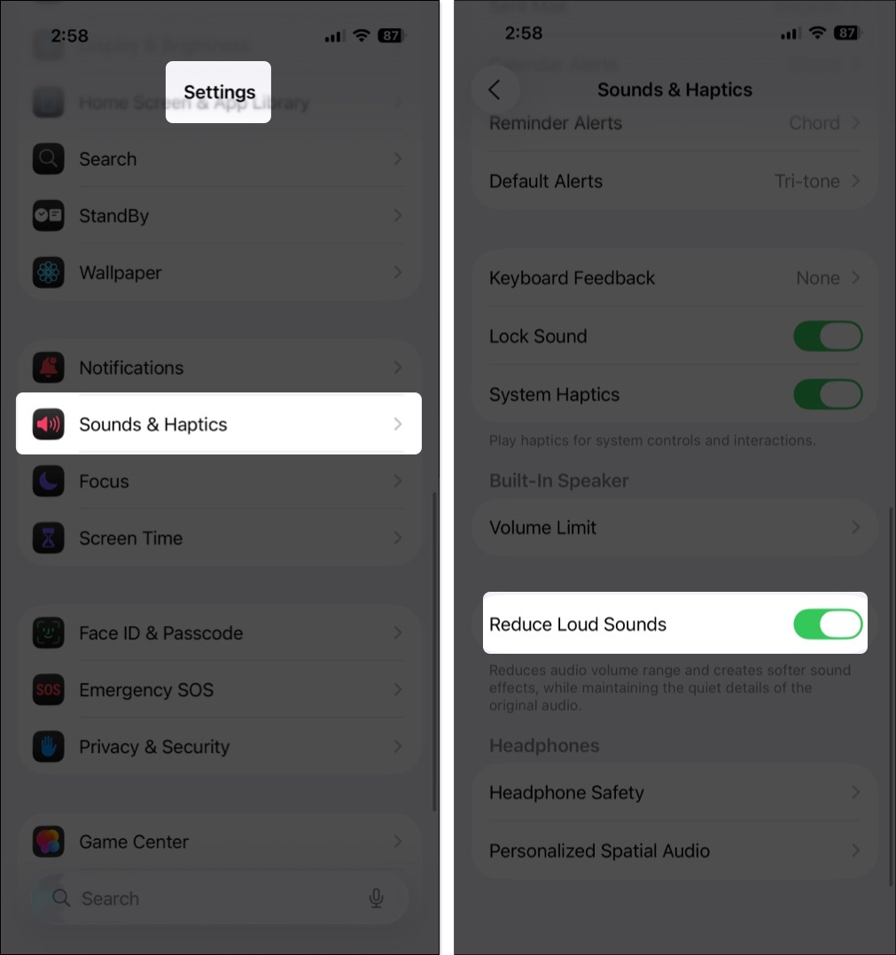 Reduce Loud Sounds enabled under Built-In Speaker settings.
