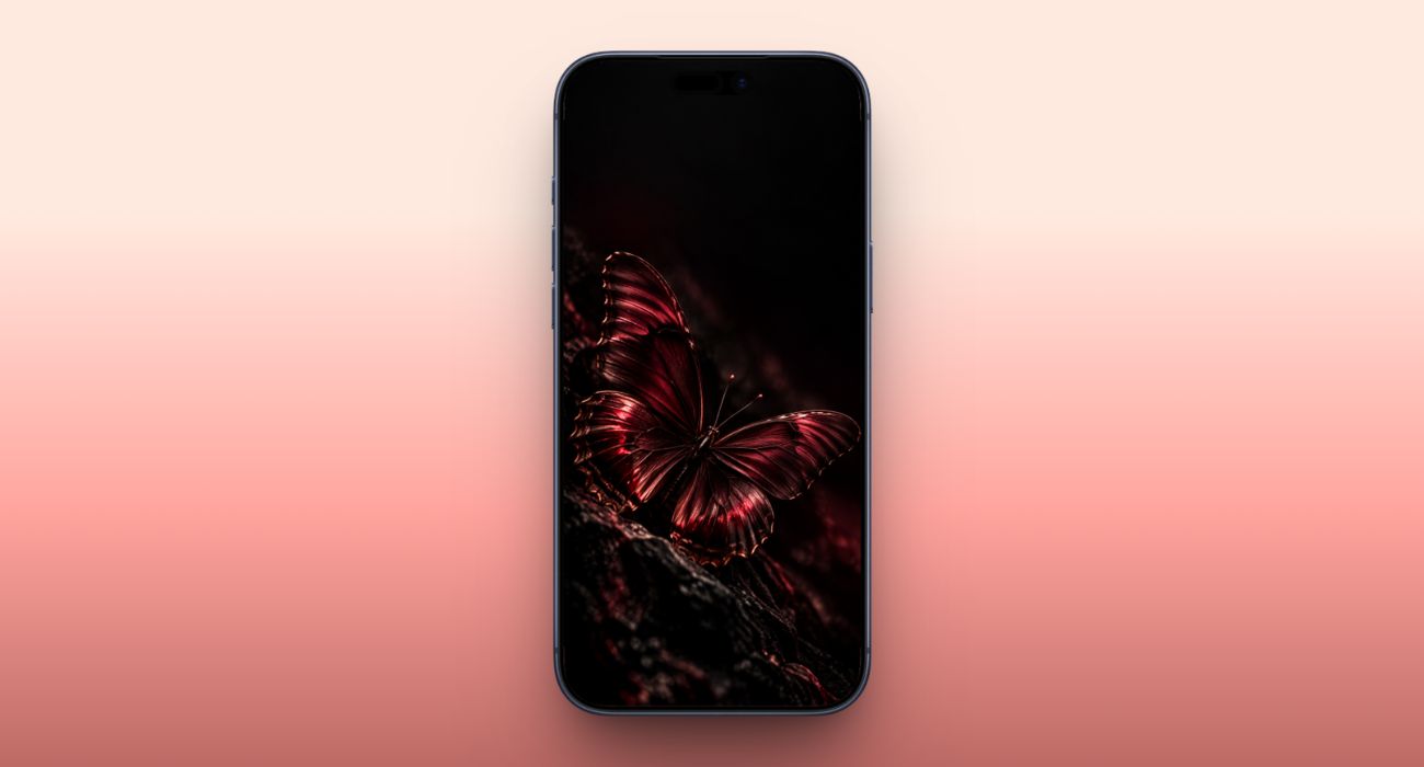 Burgundy butterfly